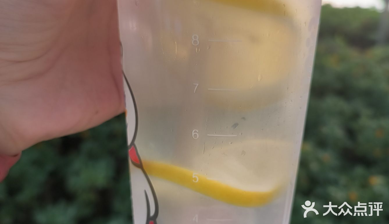 以前的冰柠檬水有股淡淡的柠檬香而且微微甜味道清爽可口