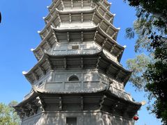 -深圳国际园林花卉博览园