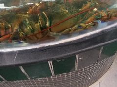 -森谷美食公园(杨行店)