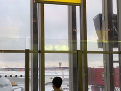 -谢列梅捷沃国际机场