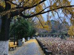 -四川大学(华西校区)