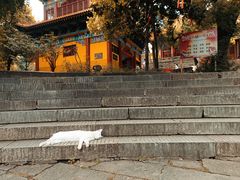 -宝通禅寺