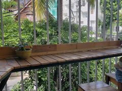 -Rainforest