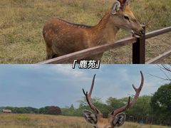 -良渚古城遗址公园
