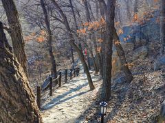 -阳台山自然风景区