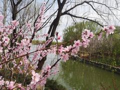 -大兴滨河森林公园