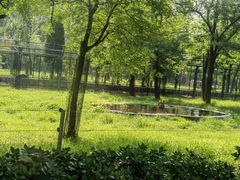-秦皇岛野生动物园