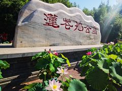 -莲花池公园