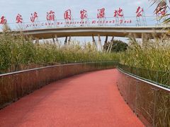 -西安浐灞国家湿地公园