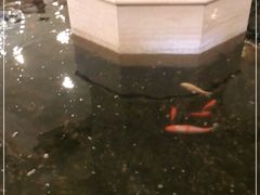 -碧中海汤泉汗蒸酒店