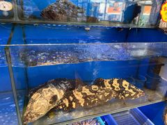 -靓湾海鲜·海景餐厅(小麦岛店)