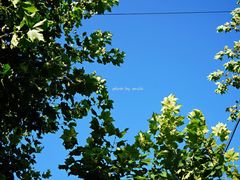 -星巴克(真如星光耀广场店)