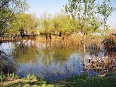 -长兴太湖图影湿地文化园