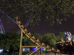 -锦江乐园舞狸花花游园会(夜场专享)