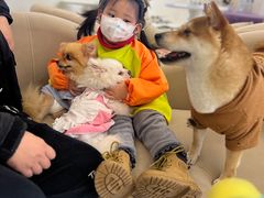 -怪兽屋·羊驼·猫咖·狗咖(俊华广场店)