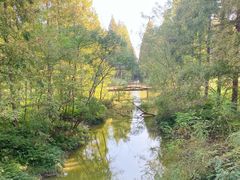 -黄海国家森林公园