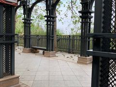 -合肥滨湖国家森林公园