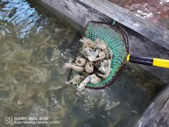 -阔澜蒸汽海鲜自助