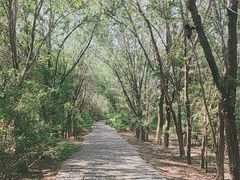 -西青郊野公园