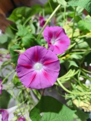 -今日陶艺(富力广场店)