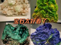 -中国地质博物馆