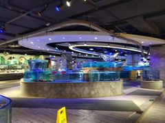 -雍和会海鲜姿造自助(湖东路店)