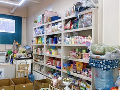 -唐小姐の私宠·宠物洗护美容·撸猫馆·购宠(周浦万达旗舰店)