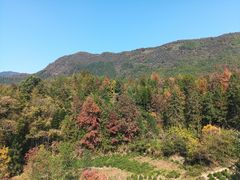 -塔川景区