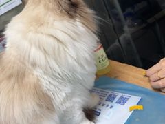 -宏发宠物医院·疑难骨科·特色猫科微创·异宠(工程街店)