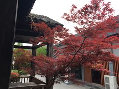 -白马涧龙池景区