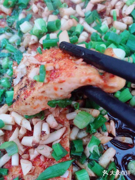 熊在烤肉烧烤店(林荫店)包浆豆腐图片