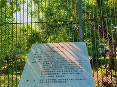 -上方山森林动物世界