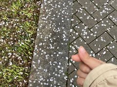 -永旺梦乐城(金银潭店)