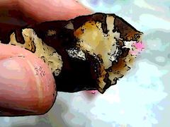 -罗莎蛋糕(南门口店)