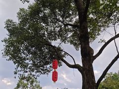 -石台牯牛降景区