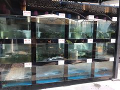 水产区-院8里·少城记忆老川菜(宽窄巷子店)