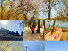 -陶然亭公园