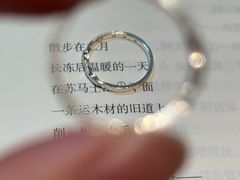 -红鼎国际名苑-C座