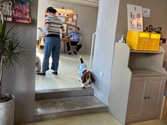 -小意思咖啡店(草桥店)