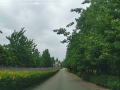 -紫颐香薰山谷景区