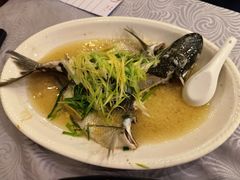 姜葱蒸水库瘦身鲩鱼-粤·向群饭店(龙津东路总店)