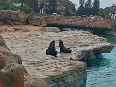 -珠海长隆海洋王国