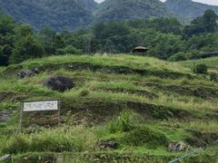 -石台牯牛降景区
