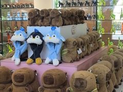 -南昌海洋公园