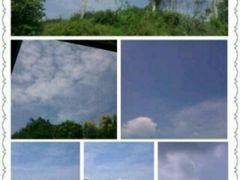 秋之魅-苏州环秀晓筑养生度假村