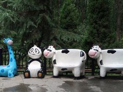 -合肥滨湖国家森林公园