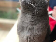 -八公叔叔宠物美容连锁(春申店)