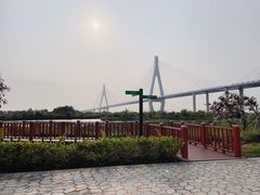 -芒洲湿地公园