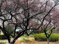 -杭州电子科技大学(下沙校区)