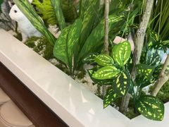 -纪林菜馆·博山菜老字号(华光路店)